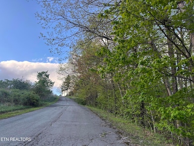 0 Hickory Tr unit 1260050, Crab Orchard, TN 37723 - photo 3