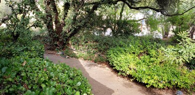 Park-Like Oasis Backyard