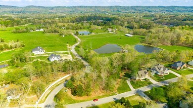 Jays Way Lot 1 Aerials HD-36
