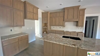 349 County Road 3153, Kempner, TX 76539 - photo 7