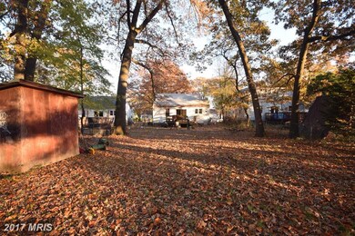 12204 Myrtle Ave, Beltsville, MD 20705 - photo 3