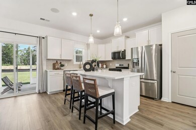 551 Griffon Dr, Chapin, SC 29036 - photo 6