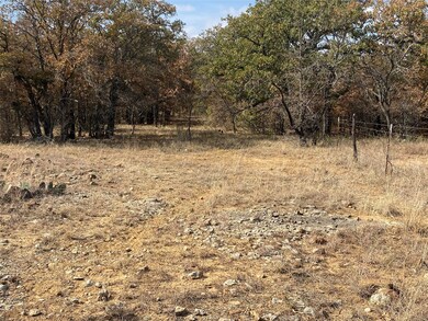 14500 County Road 129, Brownwood, TX 76801 - photo 5