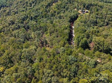 0 Calhoun Trail unit CAR4298763, Rutherfordton, NC 28139 - photo 3