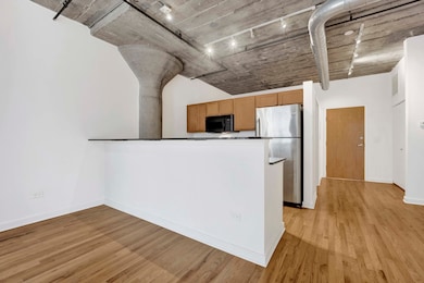 University Commons VI unit 209, Chicago, IL 60608 - photo 4