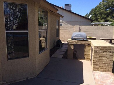 Backyard 3
