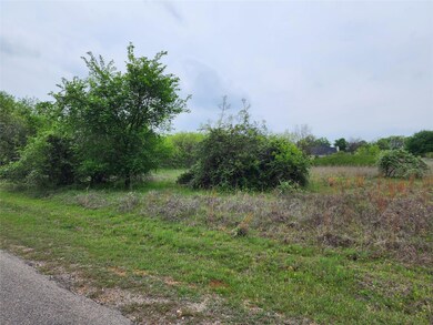 12084 Rolling Oaks Dr, Whitney, TX 76692 - photo 6