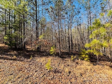 0 Creekside Cir unit 110 CAR4219289, Rutherfordton, NC 28139 - photo 5