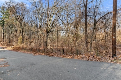 55A Richardson St, Billerica, MA 01821 - photo 7