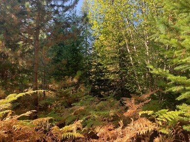 Nhn Whitepine Ln, Trout Creek, MT 59874 - photo 7