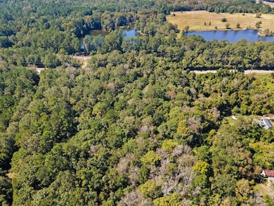 8715 Massey Lake Rd, Silsbee, TX 77656 - photo 5