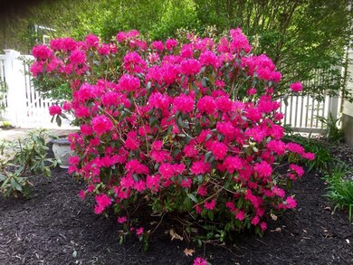 32 River Meadows Dr, Standish, ME 04085 - photo 4