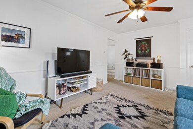171 South Ashburton Road-10.jpg-FULL