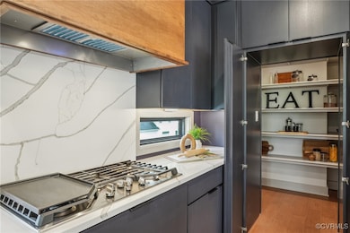 Hidden Walk-In Pantry / Extensive Shelving