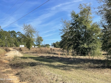 14119 US Highway 98, Lucedale, MS 39452 - photo 3
