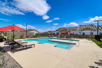 Avier West Pool Amenity