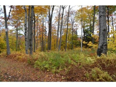 00 Route 66 unit 69, Ludlow, VT 05149 - photo 4