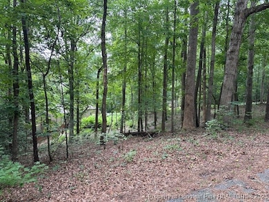 162 Woodwedge Way, Sanford, NC 27332 - photo 6