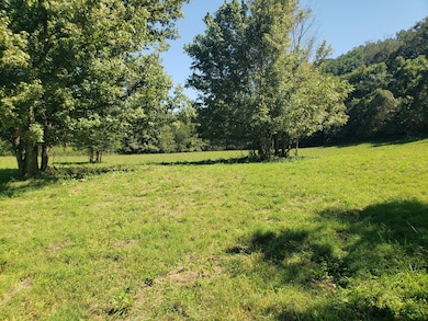 0 St John Hollow Rd unit RTC2981969, Woodbury, TN 37190 - photo 4