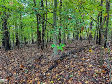 143 Lankford St, Roxboro, NC 27573 - photo 6