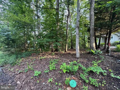 218 Birdie Rd, Locust Grove, VA 22508 - photo 5