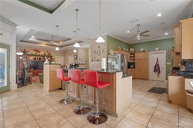 8001 Elena Ave, Donna, TX 78537 - photo 7