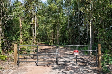 XXX Sinclair St, Chipley, FL 32428 - photo 3