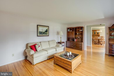 1207 Forge Rd, Cherry Hill, NJ 08034 - photo 4