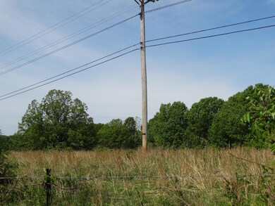 14.50ac Old Wilderness Rd, Reeds Spring, MO 65737 - photo 5