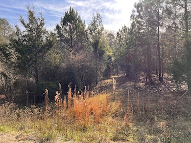 202 McGowan Springs Dr, Cross Hill, SC 29332 - photo 5