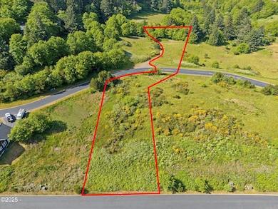 2-DJI_20250617162653_0099_D_DJI copy