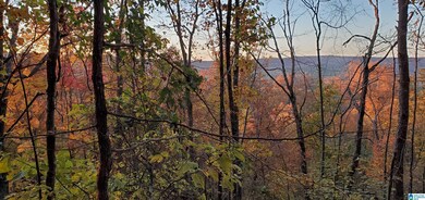 438 Stonegate Dr, Birmingham, AL 35242 - photo 7