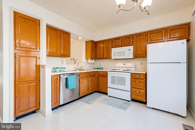 1003 Chestnut Haven Ct, Chestnut Hill Cove, MD 21226 - photo 3