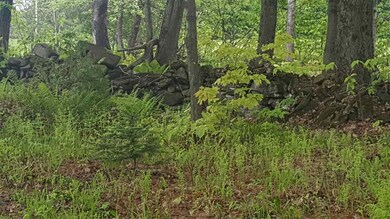 783 Dexter Mountain Rd unit 3A, Glover, VT 05839 - photo 7