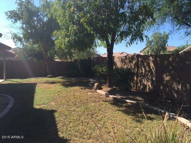 backyard 3