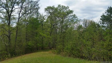 1628 Phipps Creek Rd, Burnsville, NC 28714 - photo 4