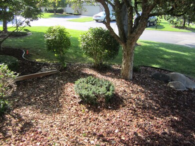 2309 Aimie Ave SW unit 5, Byron Center, MI 49315 - photo 6