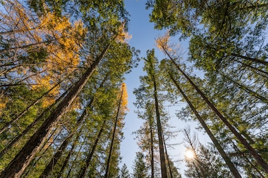 156 Peters Creek Way, Kalispell, MT 59901 - photo 3