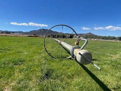 Wheel Line on alfalfa/grass mix field