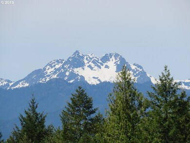 0 Wayne Rd W unit 4 21342725, Seabeck, WA 98380 - photo 7