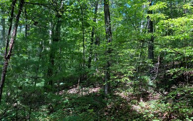 Additional View