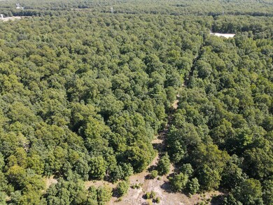 Aerial 1