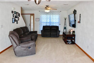 202 Alamosa Dr, Freeburg, IL 62243 - photo 5