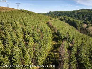 0 Kellett Rd unit B, Washougal, WA 98671 - photo 7