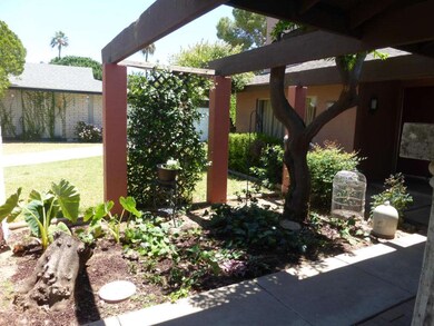 Front Area