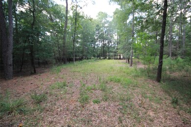 3 Deer Lodge Rd, Magnolia, TX 77354 - photo 5