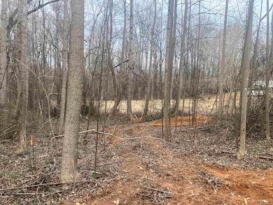 163 Rockingham Rd, Duncan, SC 29334 - photo 3