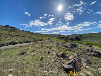 0 NNA Hannah Rd unit 19, Pateros, WA 98846 - photo 4