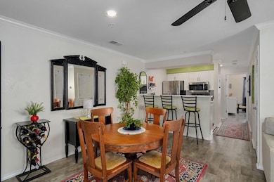 530 Spring Creek Rd unit 5-1, Branson, MO 65616 - photo 7