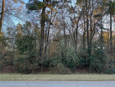 0 Riverbrook Dr unit 46053086, Conroe, TX 77385 - photo 2